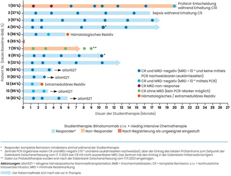 Abbildung 1 Therapieansprechen (Swimmer Plot) der Safety-Run-In Kohorte – nach Jabbour et al.